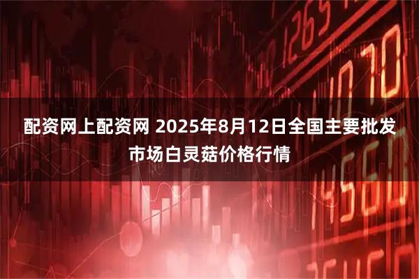 配资网上配资网 2025年8月12日全国主要批发市场白灵菇价格行情