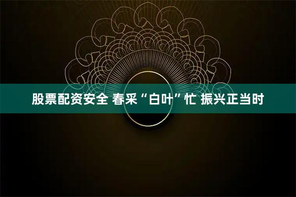 股票配资安全 春采“白叶”忙 振兴正当时